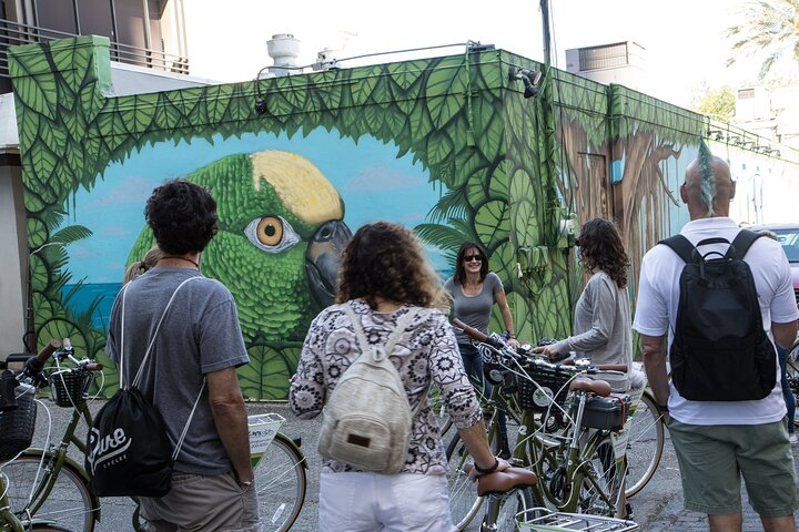St Pete Awesome Mural Biking Tour - Photo 1 of 8